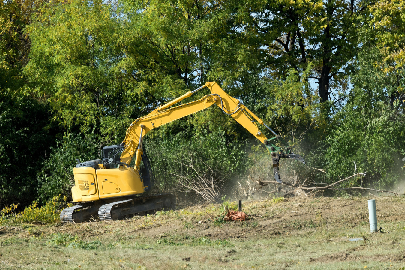 Land Clearing
